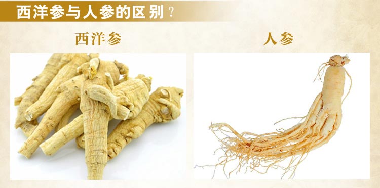 服用西洋参会上火吗,服用西洋参上火吗