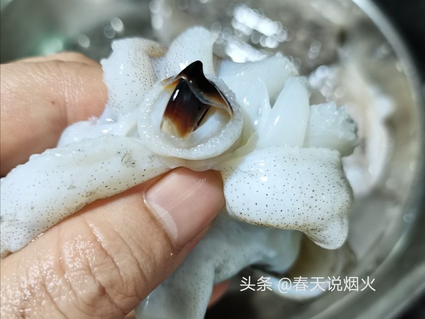 墨鱼炒什么配菜好吃又简单,墨鱼炒什么菜最好吃