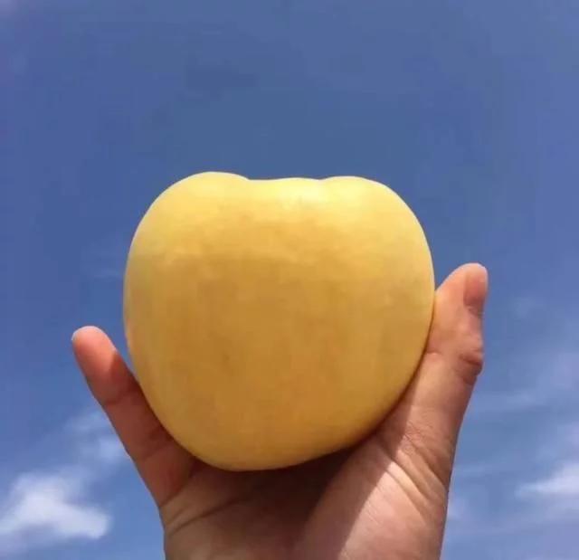 7月吃这些水果瘦身如此简单,哪些水果夏季可以做补水美白面膜