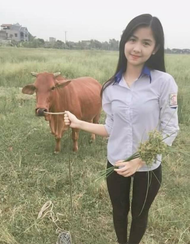 地理冷知识缅甸,缅甸冷知识