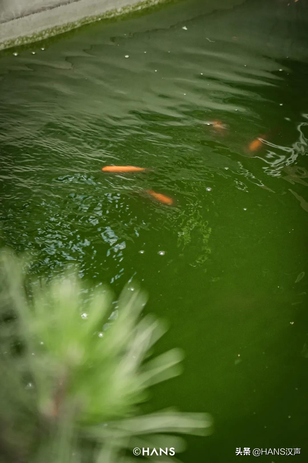 江汉路楼上有人住吗,江汉路楼顶怎么上去