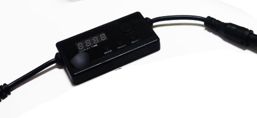 养鱼混养注意事项大全图解,新手养鱼混养推荐