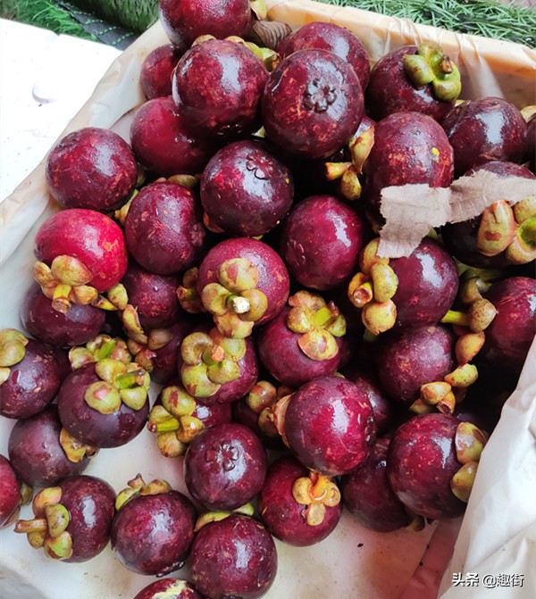 山竹怎么挑最好的呢,山竹怎么挑选才是新鲜的