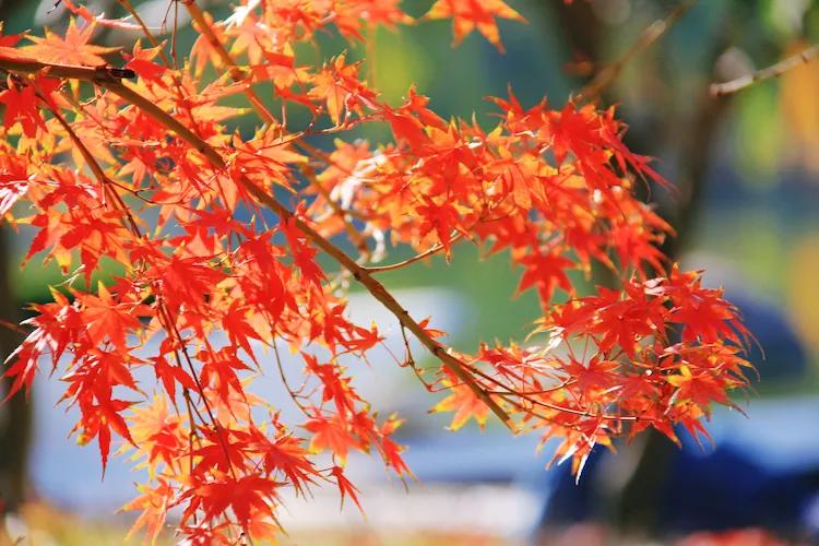 尼康入门单反,单反快速入门攻略