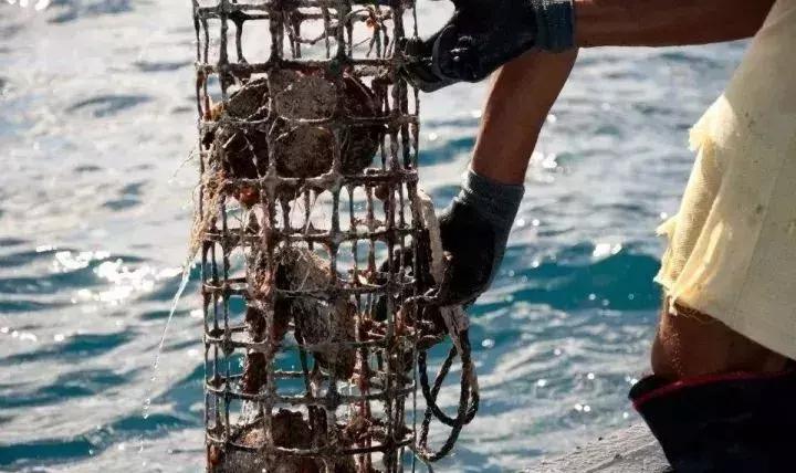 珍珠怎么选才能选到天然的好珍珠,珍珠首饰怎么选