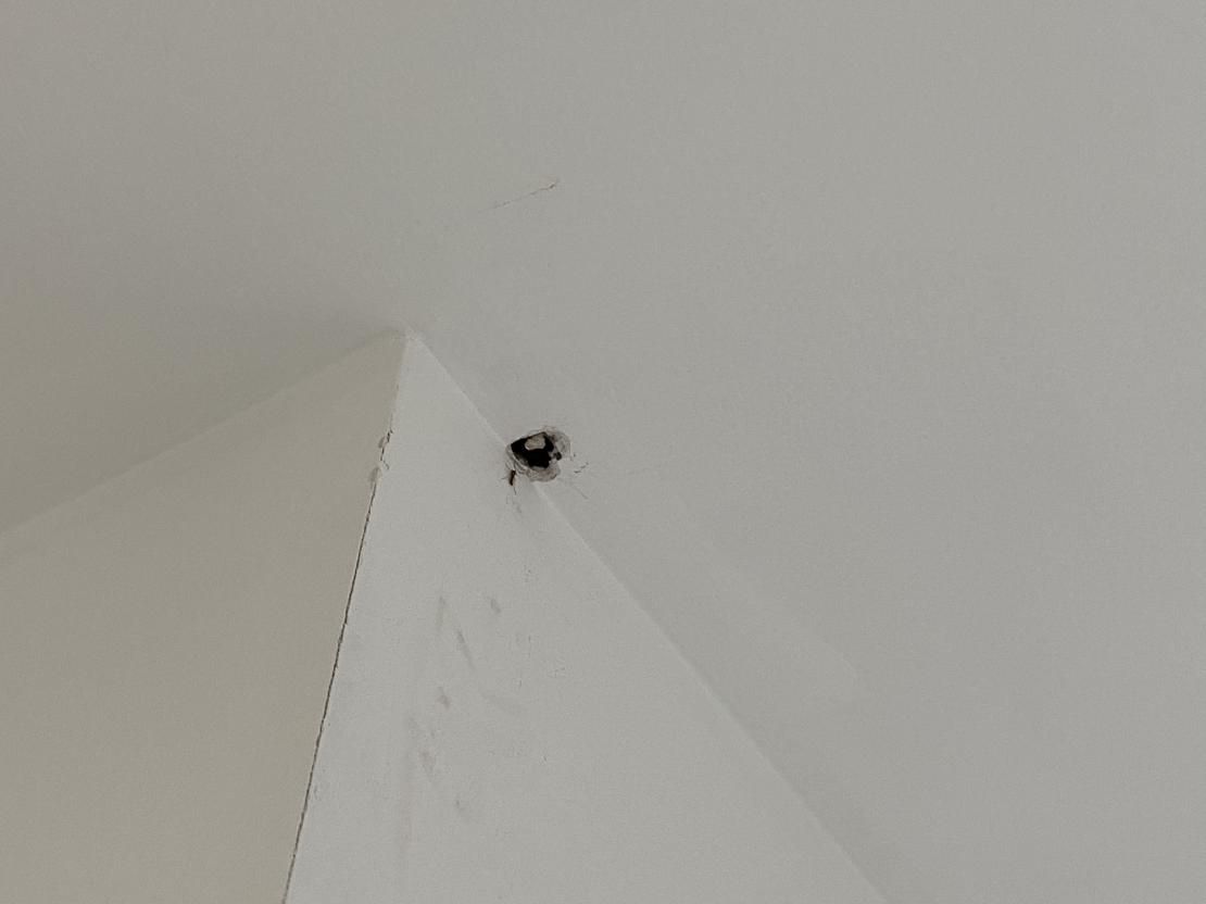 家里墙皮开裂脱落怎么处理,墙皮开裂怎么处理