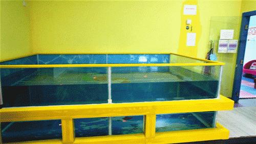 想创业、找项目的快看!门头沟品牌婴幼儿游泳馆火爆转让