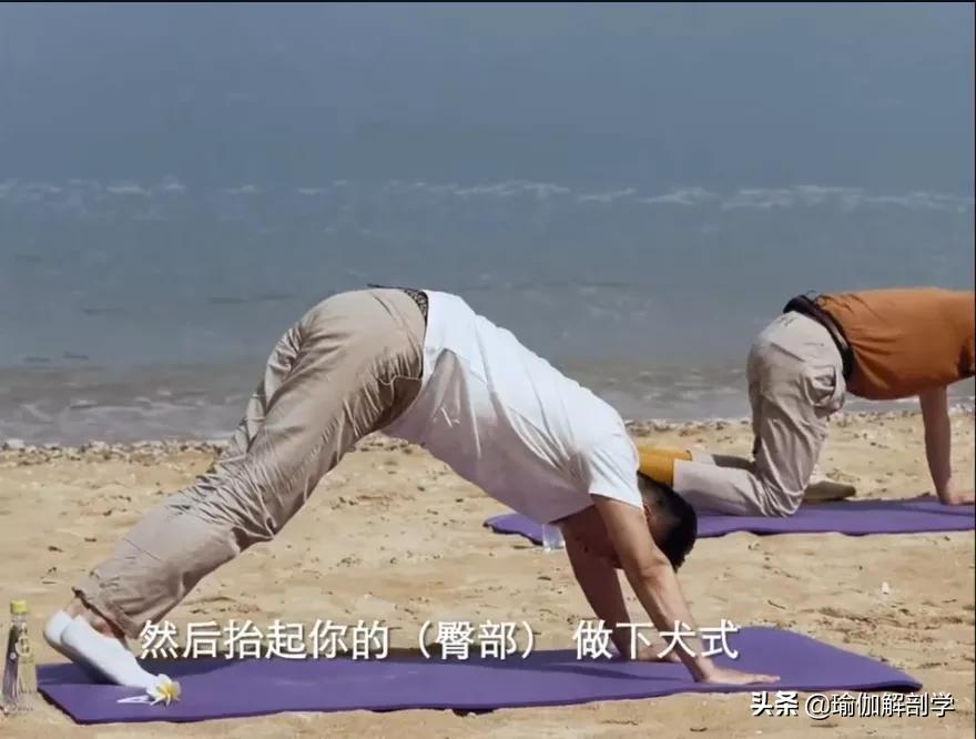 正确在家练瑜伽央视,中央电视台曾经的瑜伽节目