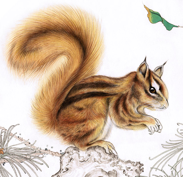 水仙花国画花鸟画图片欣赏,中国画花鸟画背景图片大全