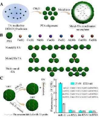 雅致轩最新视频,雅致轩焕颜