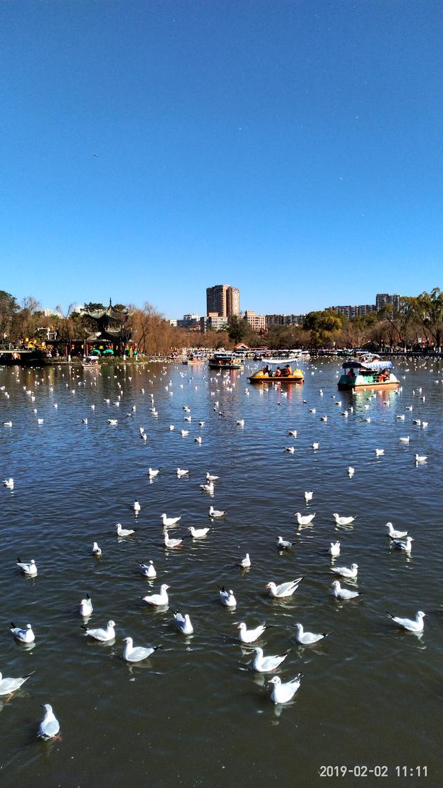 大华1935西安必去的100个景点,西安大华1935一日游