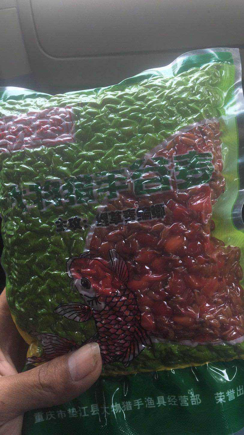 网上很火谷麦钓鱼配方,谷麦钓法是谁钓火的