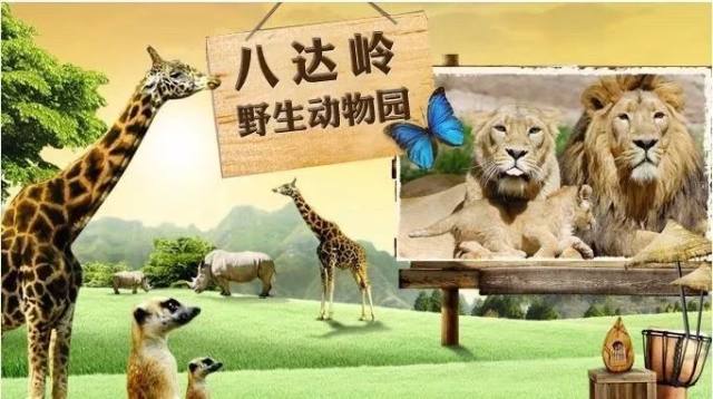 2024年锦绣江山全国旅游年卡,98元锦绣江山京津冀联名年卡