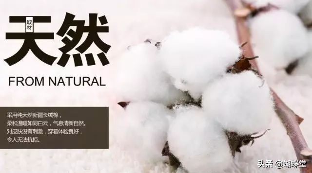 蝴蝶堂内衣,蝴蝶堂内衣小知识