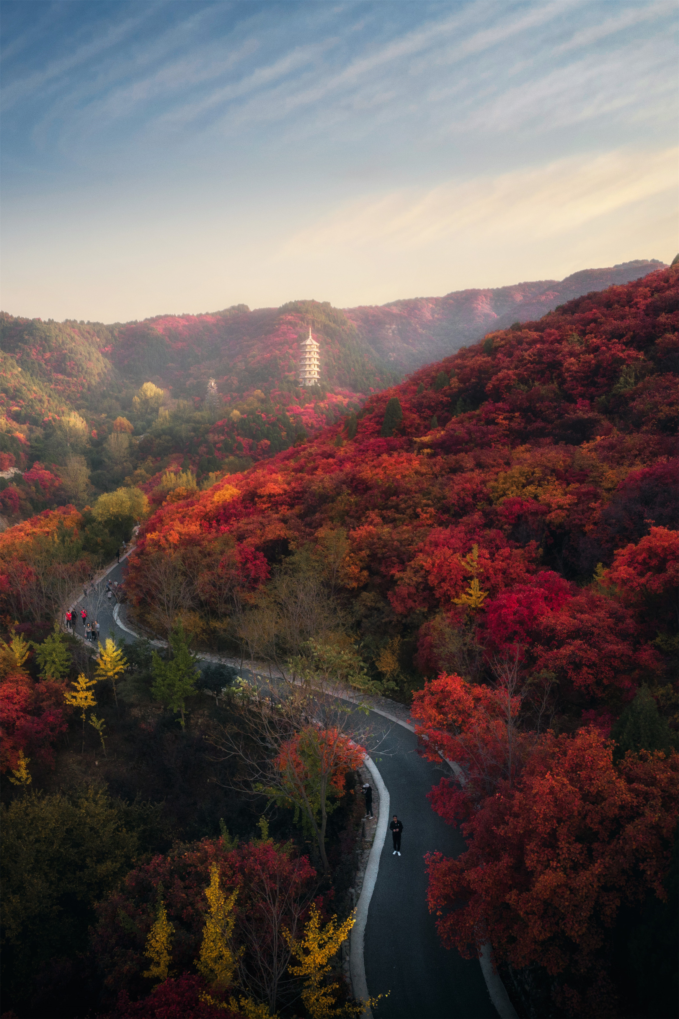二十届济南红叶谷红叶节开幕,济南红叶谷今年最佳观赏红叶时间