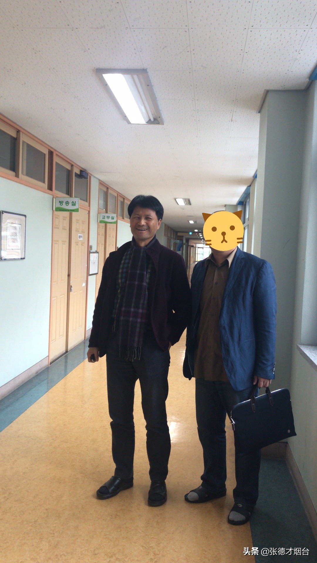 走马观花深度解析,走马观花日本版