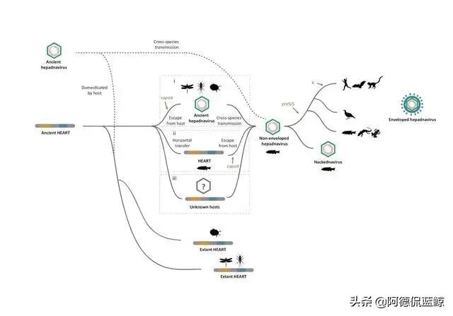 南京师范大学2018年度十项主要科研进展