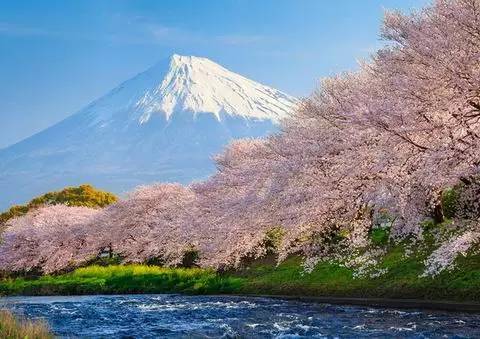 宝玉和源氏出家:不同文化背景下的相同选择