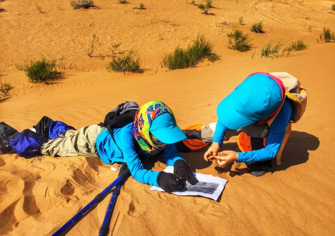 沙漠亲子营价格 (沙漠亲子陪伴营优惠政策)