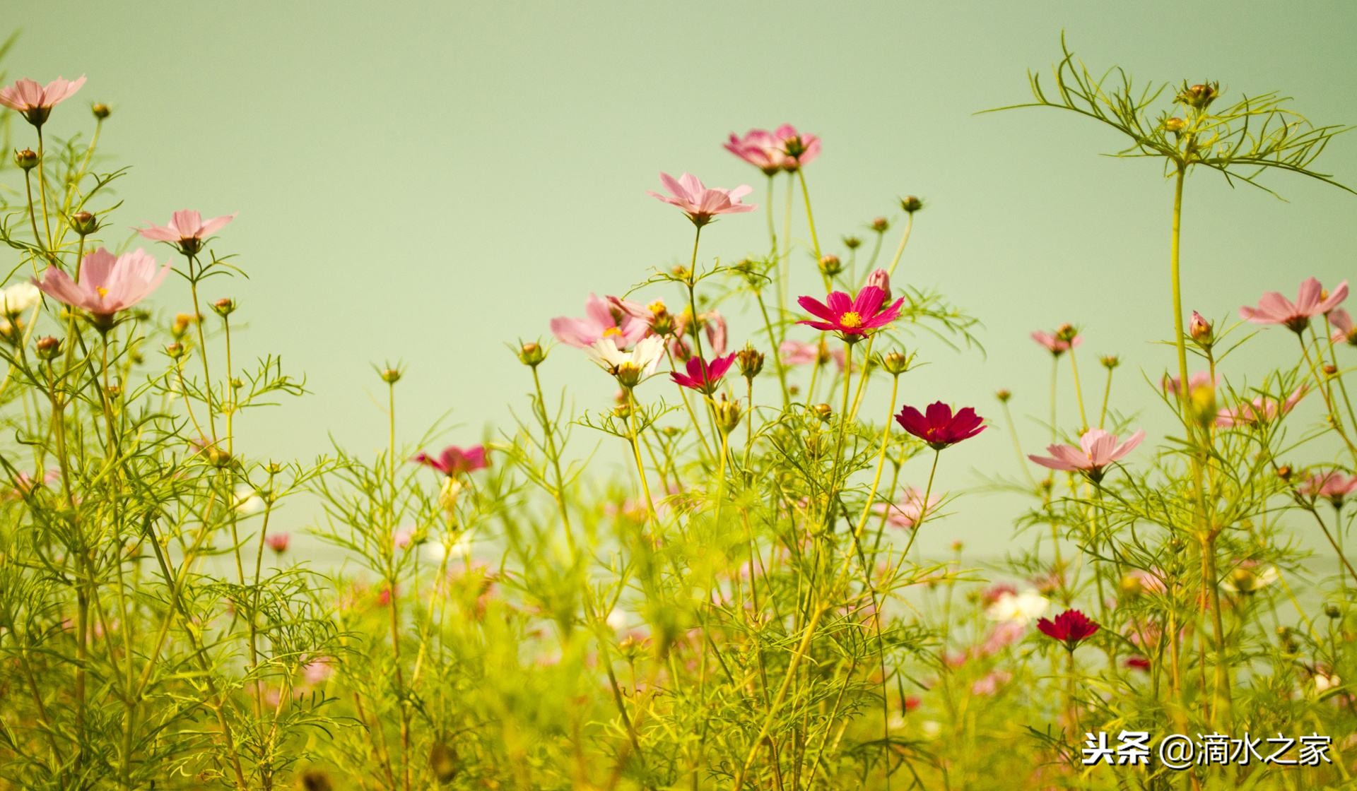 老公手术切除子宫,手术完成切除子宫