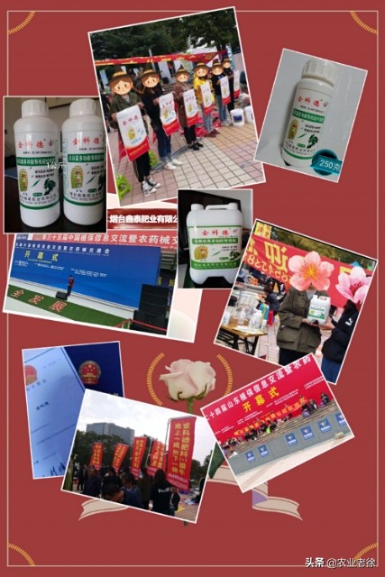 油蟠桃裂果流胶是什么原因,什么样的蟠桃裂果不能留