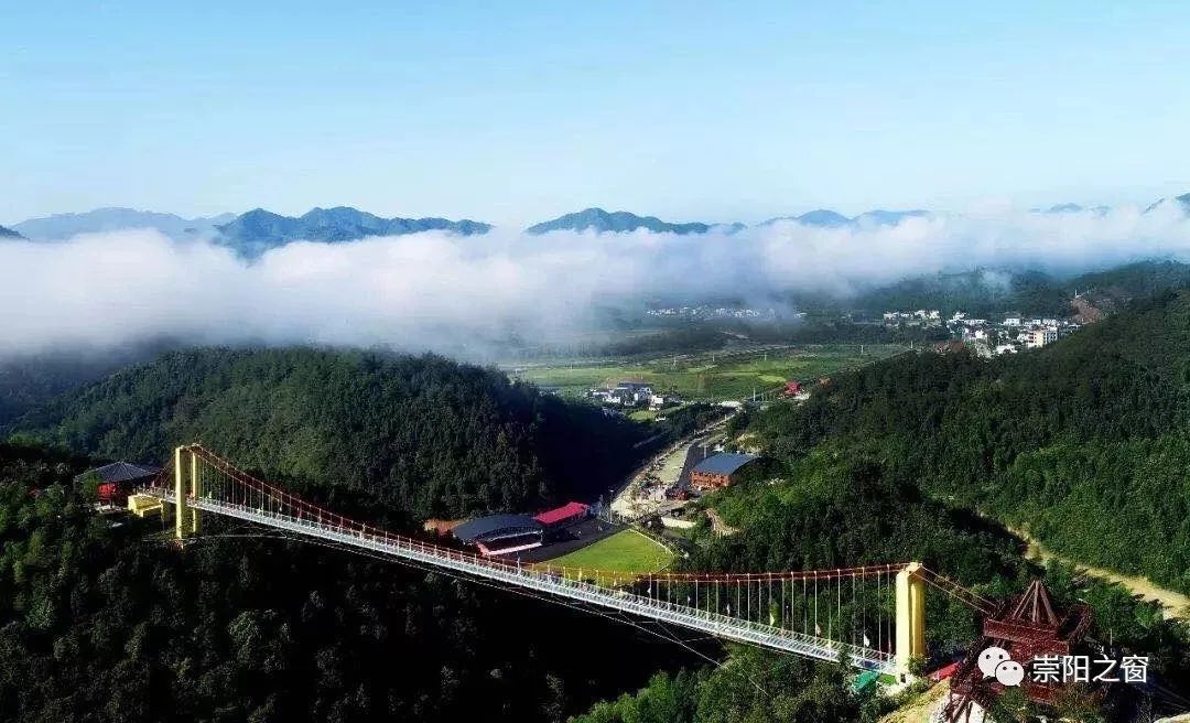 崇阳柃蜜小镇电音节,崇阳县柃蜜小镇最新新闻