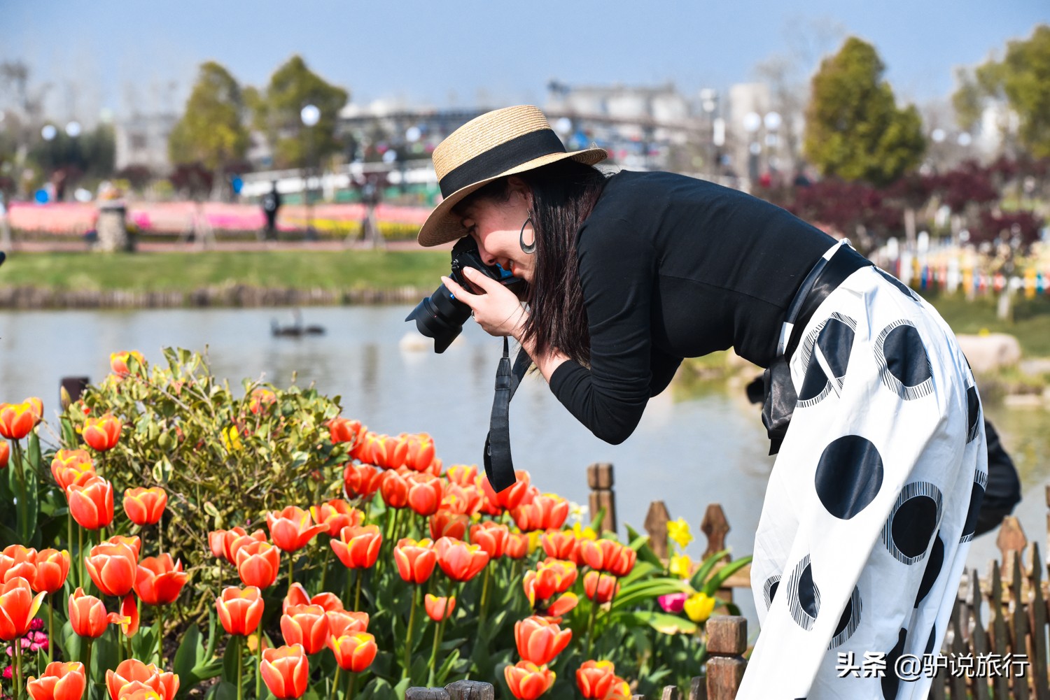 郁金香中国,中国郁金香第一花海