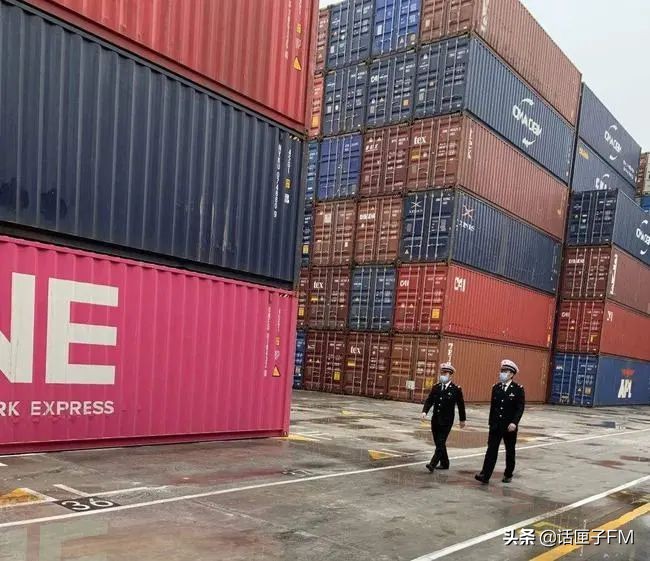 4米长,手臂粗!海关截获眼镜王蛇,现场还在不断喷射毒液