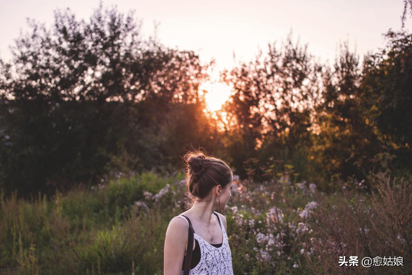 许志安郑秀文感情经历 (许志安郑秀文感情事件)