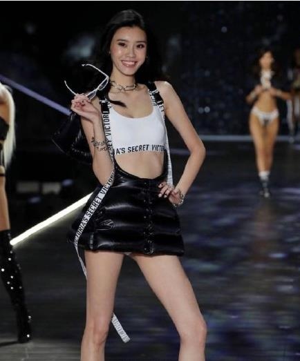 fantasy维密大秀,17年维密大秀最贵的内衣