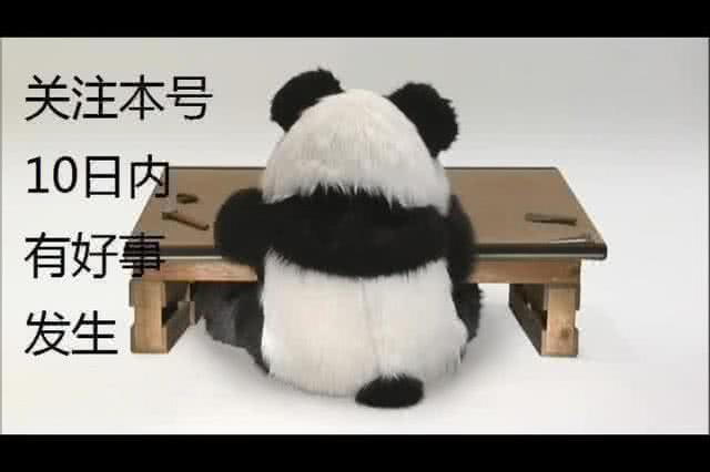 又要凉凉！国足这届世界杯快出局了，而下届世界杯也快没戏了