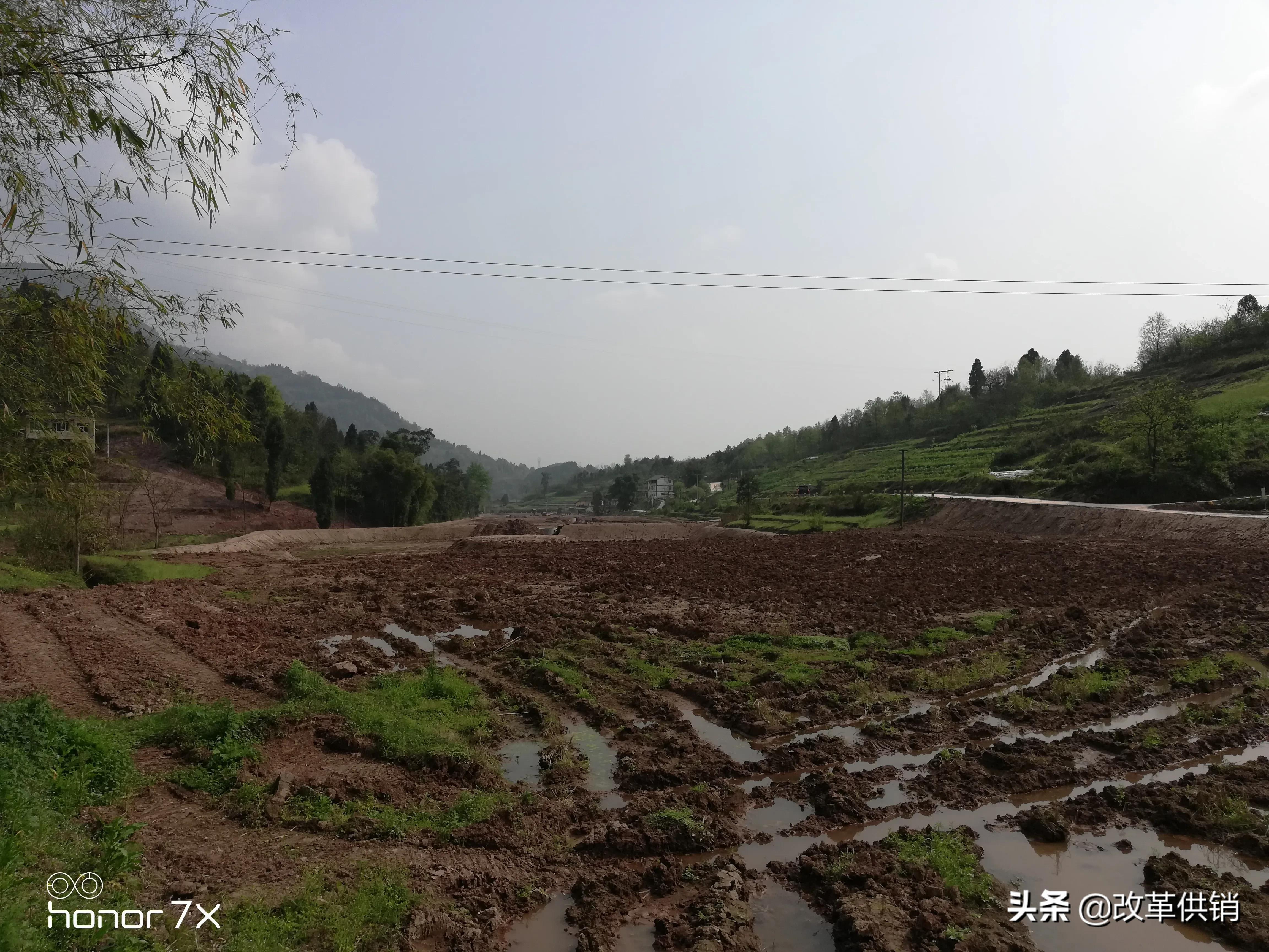 供销合作社重点任务,供销社三个一体模式