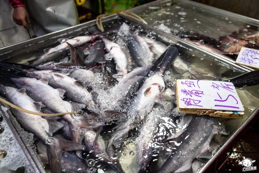 广州沙园菜市场价格,广州沙园菜市场水果