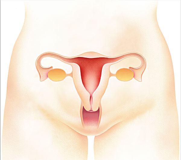 产后恶露需要怎么处理,产后恶露的正确处理方法
