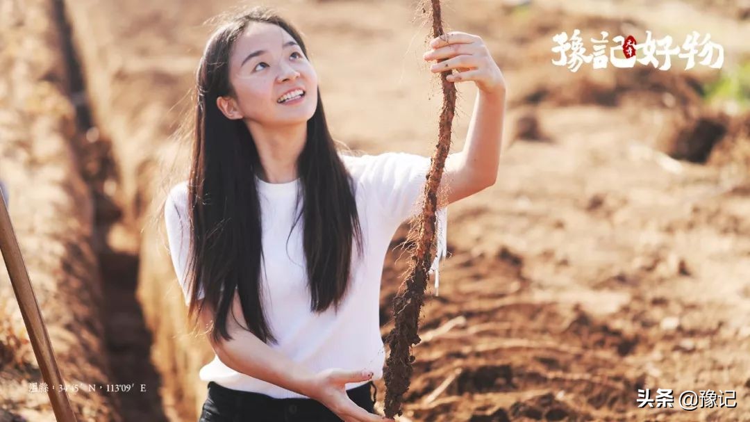 把老家拎在手上，每个河南人都应该有这份礼物