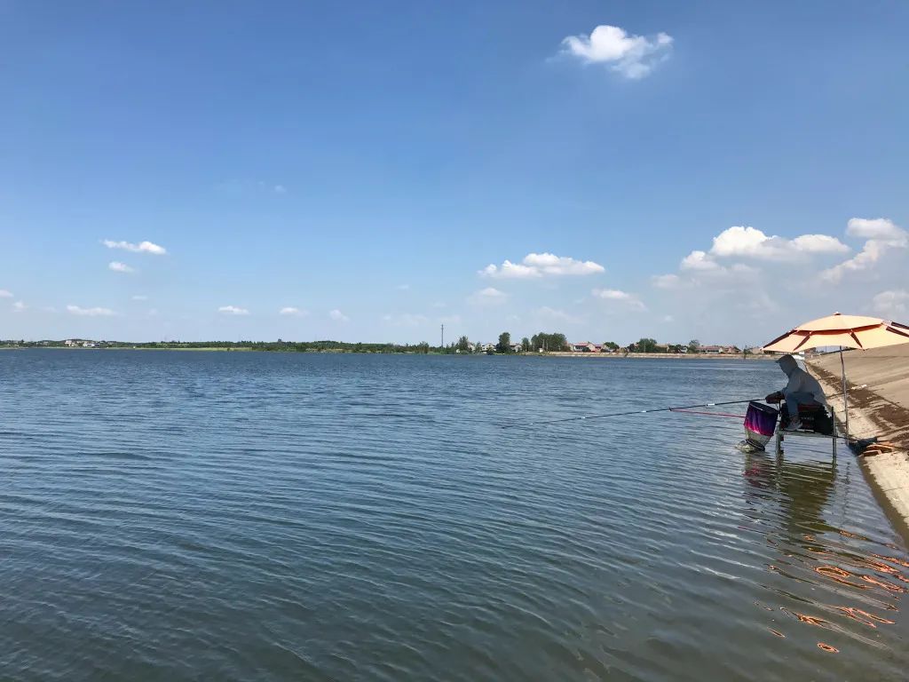 坚持钓鱼有什么好处,钓鱼对身体健康有什么好处