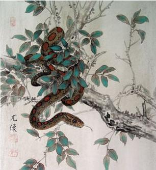 十二生肖是怎么排序的视频,十二生肖到底是怎么排序的