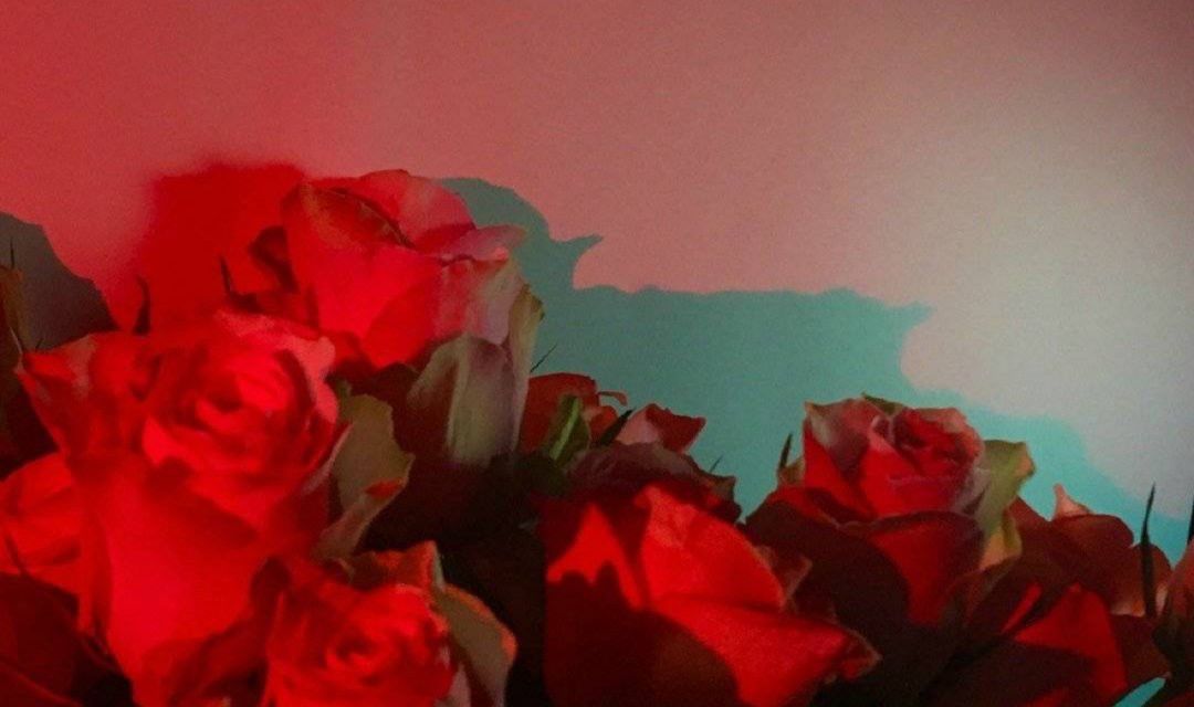 生而为人无罪你不需要抱歉出处,生而为人你不需要抱歉