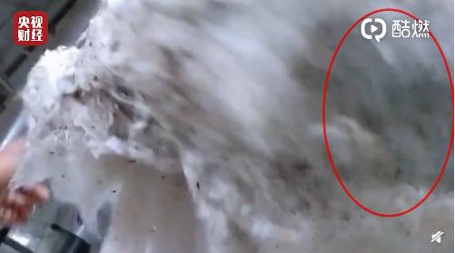 毛巾质量差有多可怕？不消毒的黑心棉直接生产，还卖到全国前三