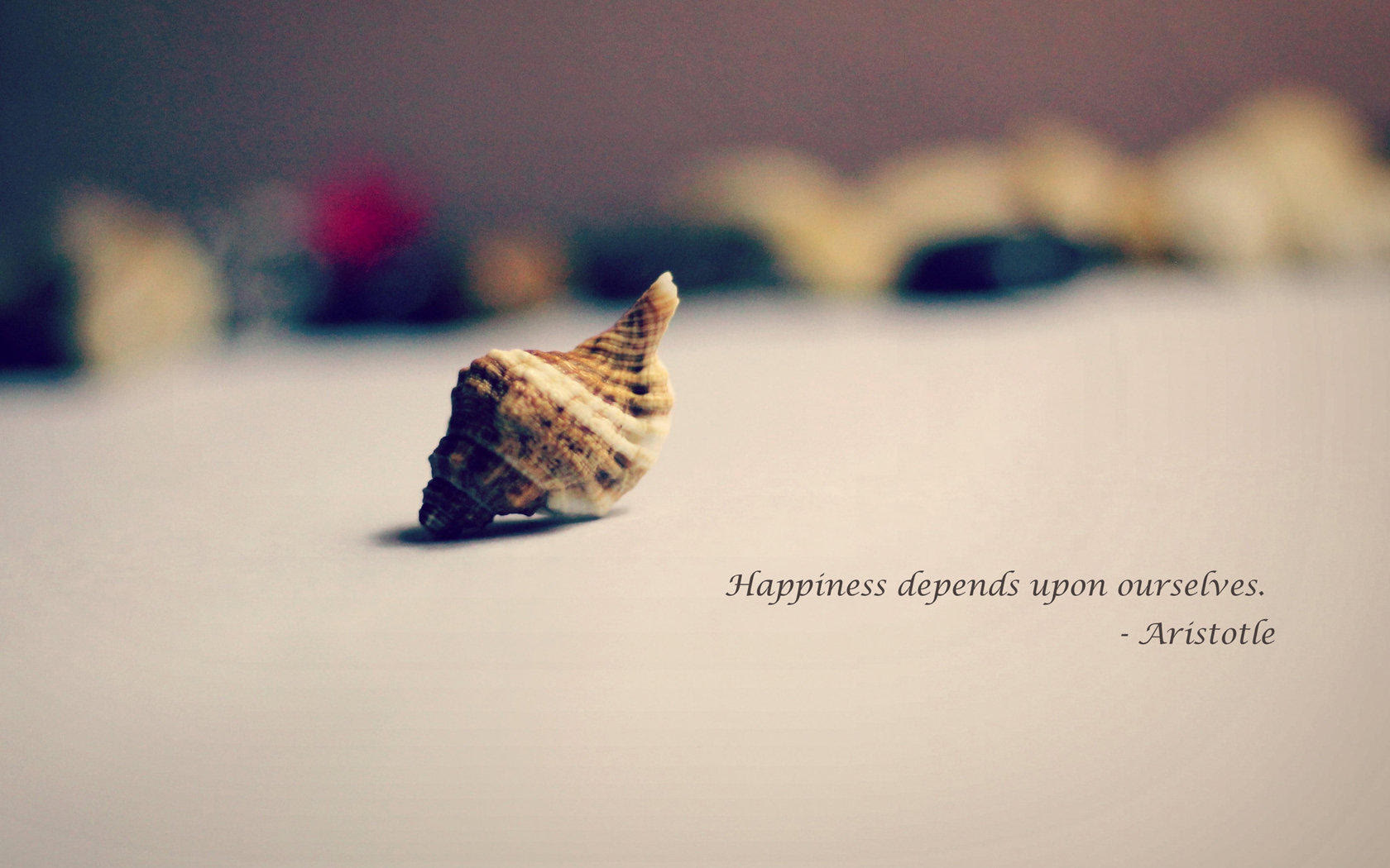 关于2021年成考容易丢分的6个细节,丢分的6大常见原因