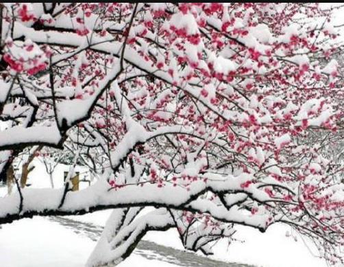 部编版小学四年级语文上册第三课,部编版四年级上册语文第三课练习