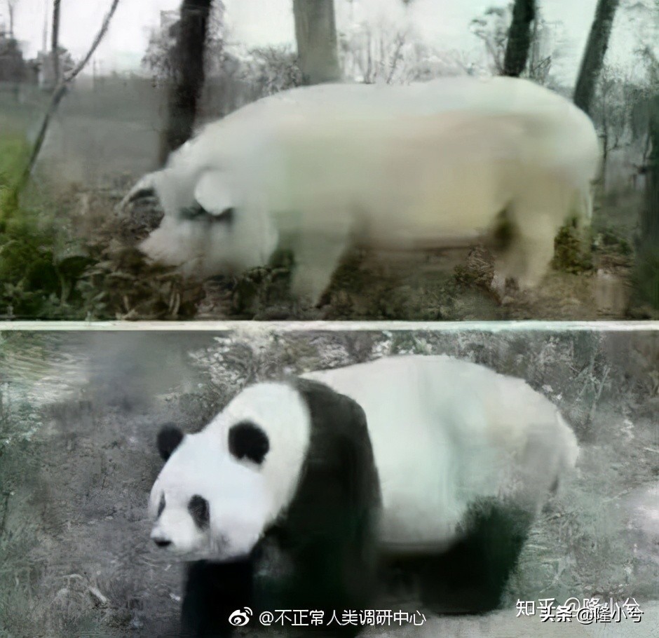 全屋定制家具与成品家具哪样划算,家具类啥时候买最便宜