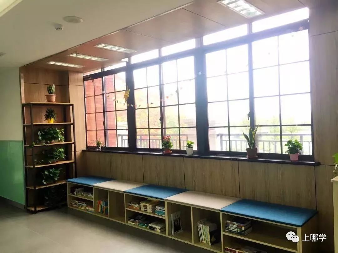 上海最好的十大民办初中,上海各区的顶级初中和一流初中