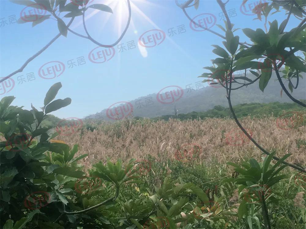 晚上可以去珠海的哪里看海,珠海在哪里看海是最佳地方