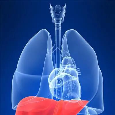 肺结核有什么不能吃的食物,肺结核不能吃什么食物