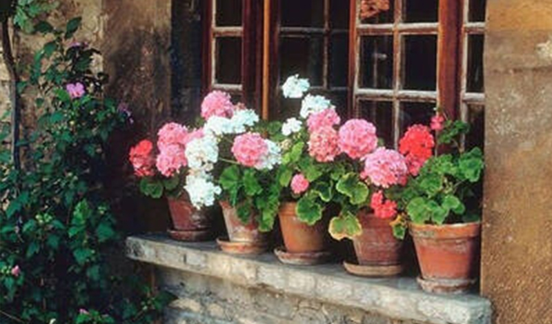 未孕梦到怀孕生孩子是胎梦吗,预示将要怀孕的胎梦