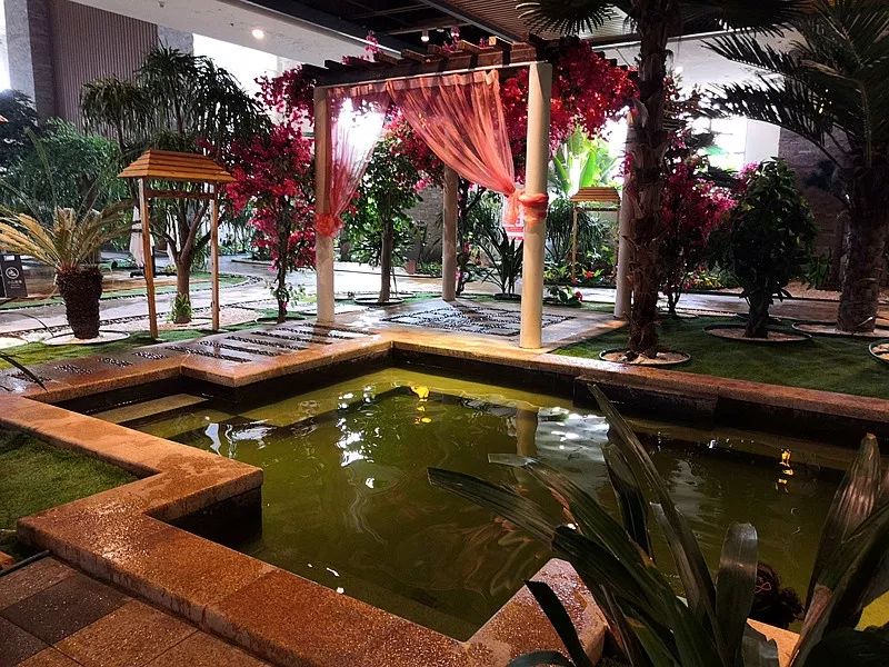 有趣试住｜临沂实地测评，孔圣人泡过的神仙水到底怎么样？