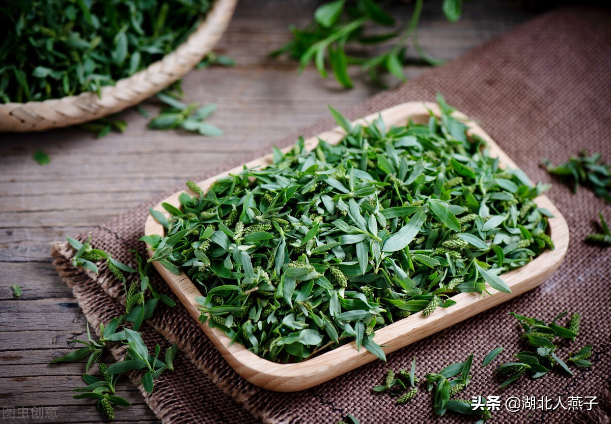 常见野菜的种类和图片大全 (各种野菜大全带图片)