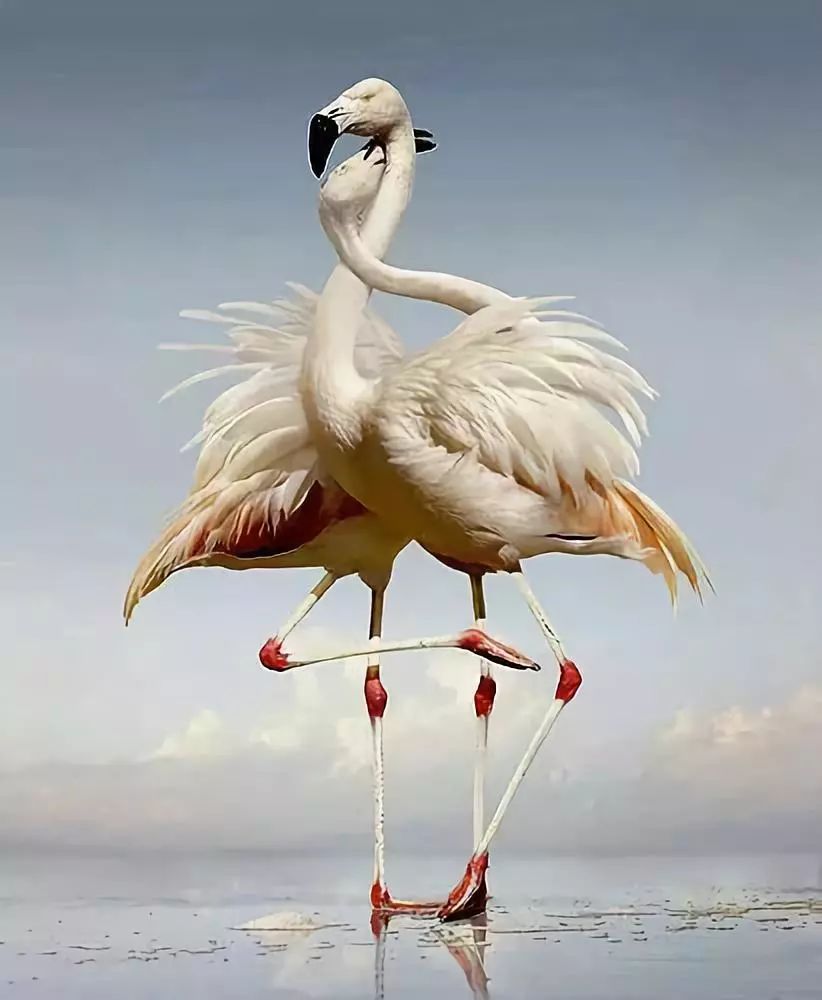 发现被别人偷拍照片,偷拍别人的照片是否违法