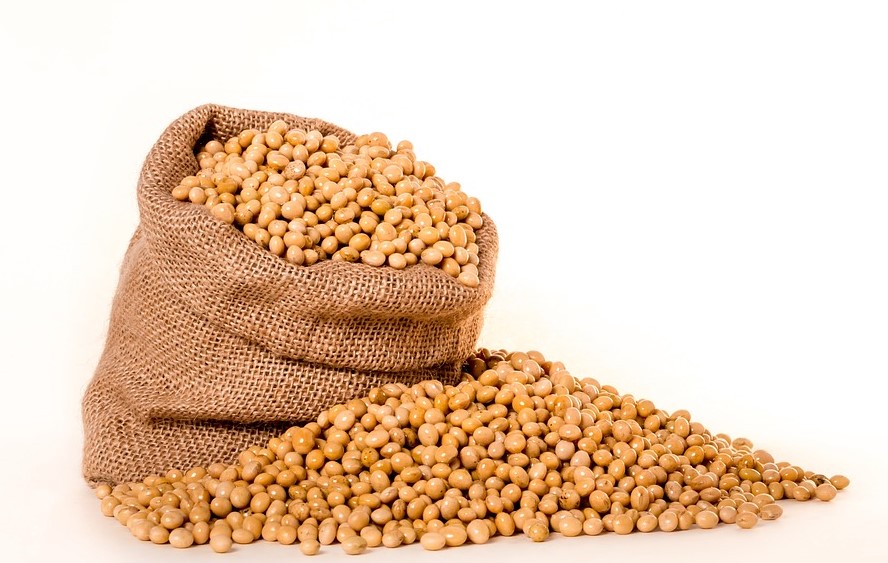 用谈恋爱的方式进行期货交易，超实用的期货恋爱心理学指南